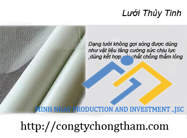 Lưới thủy tinh 